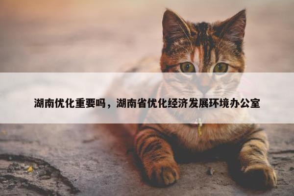 湖南优化重要吗，湖南省优化经济发展环境办公室