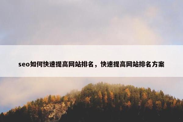 seo如何快速提高网站排名，快速提高网站排名方案