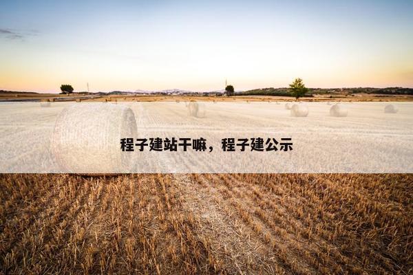 程子建站干嘛，程子建公示