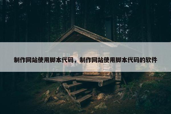 制作网站使用脚本代码，制作网站使用脚本代码的软件