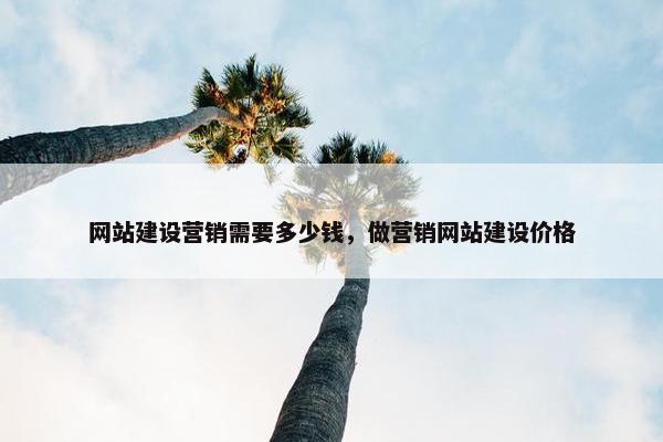 网站建设营销需要多少钱，做营销网站建设价格