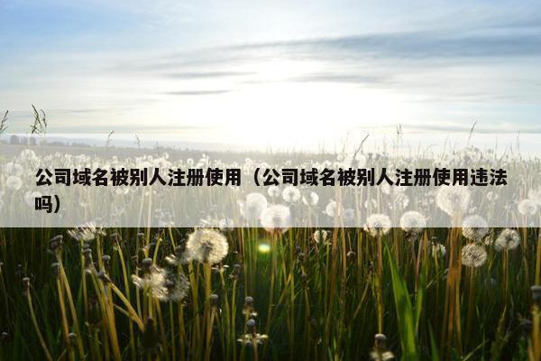 公司域名被别人注册使用（公司域名被别人注册使用违法吗）