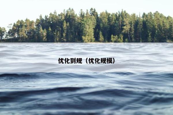 优化到规（优化规模）