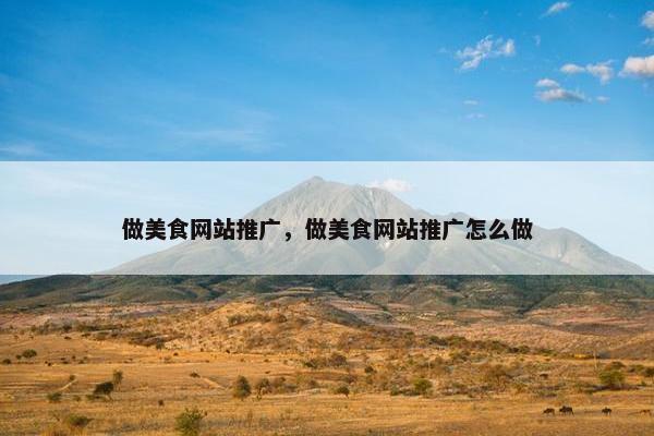 做美食网站推广，做美食网站推广怎么做