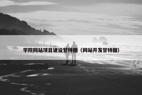 学院网站项目建设甘特图（网站开发甘特图）