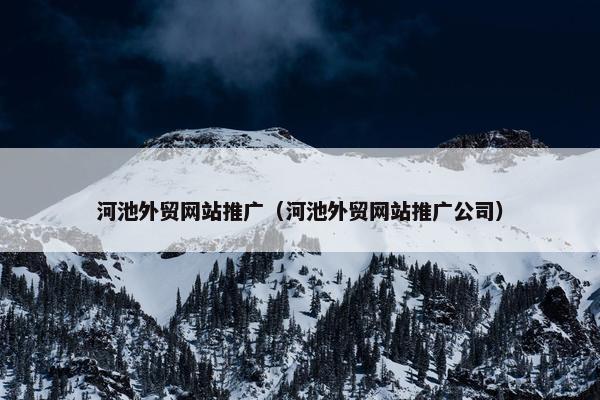 河池外贸网站推广（河池外贸网站推广公司）