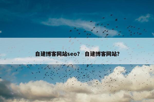 自建博客网站seo？ 自建博客网站？