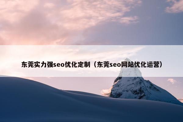 东莞实力强seo优化定制（东莞seo网站优化运营）