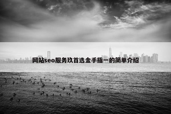 网站seo服务玖首选金手指一的简单介绍