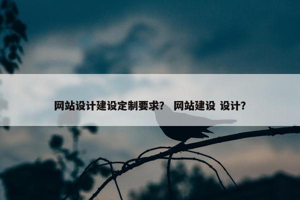网站设计建设定制要求？ 网站建设 设计？