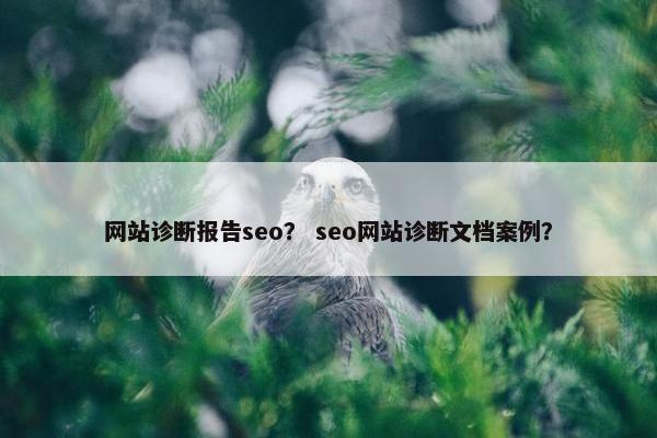 网站诊断报告seo？ seo网站诊断文档案例？