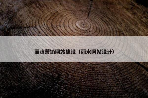 丽水营销网站建设（丽水网站设计）