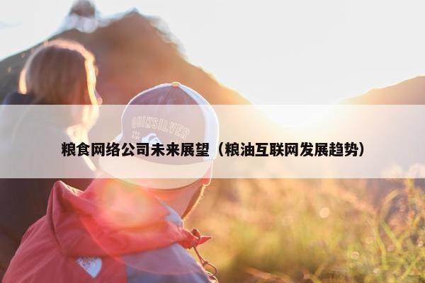 粮食网络公司未来展望（粮油互联网发展趋势）
