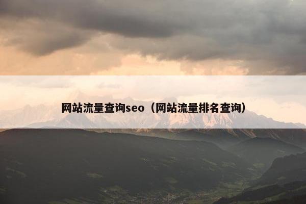 网站流量查询seo（网站流量排名查询）