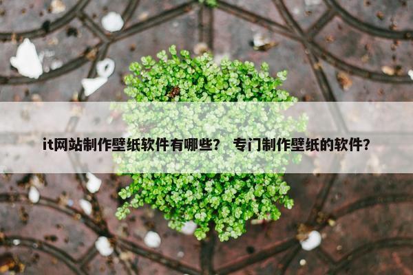 it网站制作壁纸软件有哪些？ 专门制作壁纸的软件？