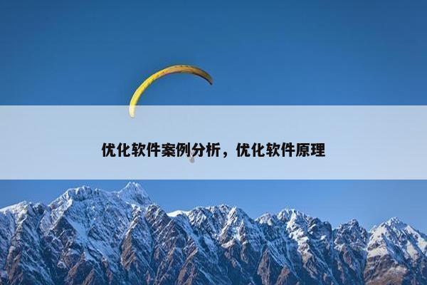 优化软件案例分析，优化软件原理