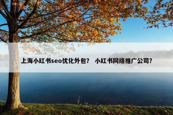 上海小红书seo优化外包？ 小红书网络推广公司？