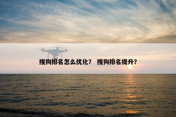 搜狗排名怎么优化？ 搜狗排名提升？