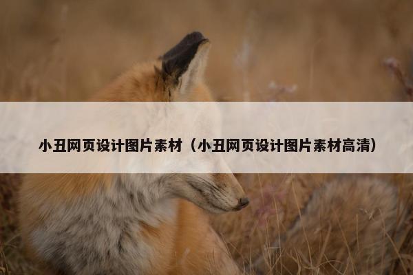 小丑网页设计图片素材（小丑网页设计图片素材高清）