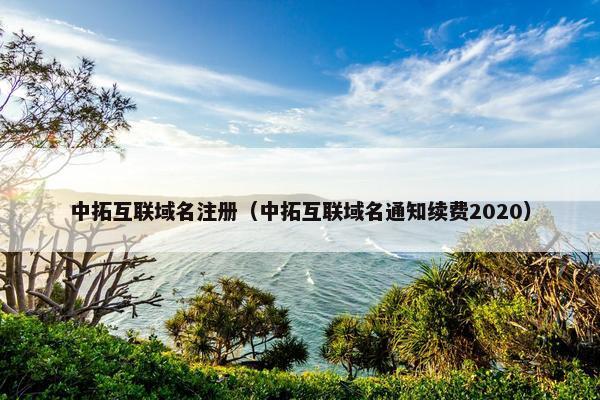 中拓互联域名注册（中拓互联域名通知续费2020）