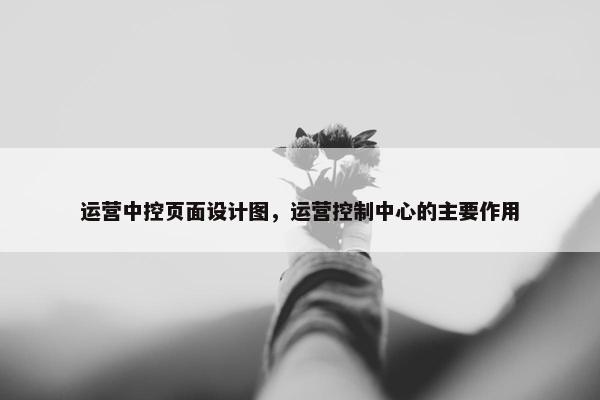 运营中控页面设计图，运营控制中心的主要作用