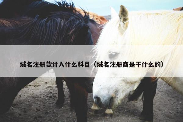 域名注册款计入什么科目（域名注册商是干什么的）