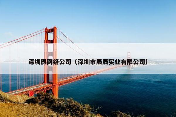 深圳辰网络公司（深圳市辰辰实业有限公司）