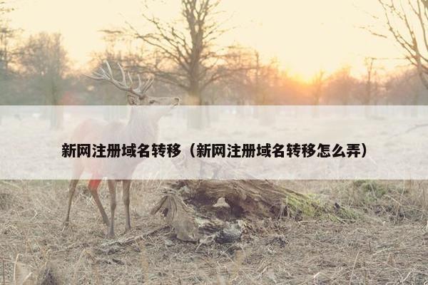 新网注册域名转移（新网注册域名转移怎么弄）