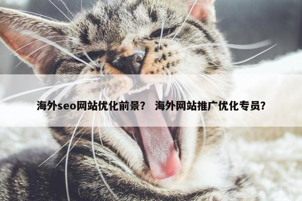 海外seo网站优化前景？ 海外网站推广优化专员？