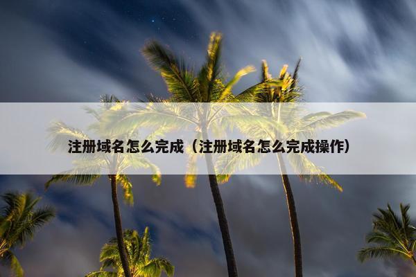 注册域名怎么完成（注册域名怎么完成操作）