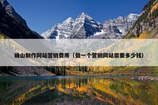 确山制作网站营销费用（做一个营销网站需要多少钱）