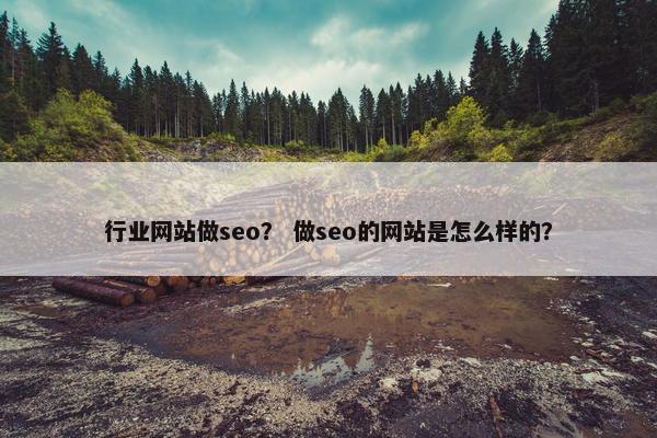 行业网站做seo？ 做seo的网站是怎么样的？
