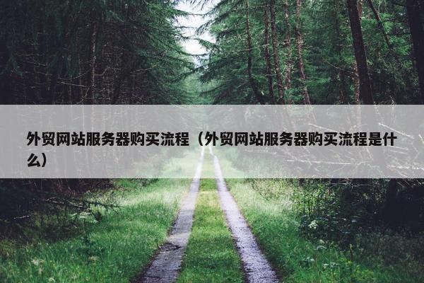 外贸网站服务器购买流程（外贸网站服务器购买流程是什么）