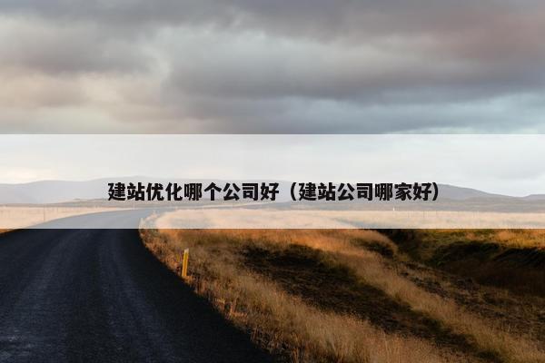 建站优化哪个公司好（建站公司哪家好）