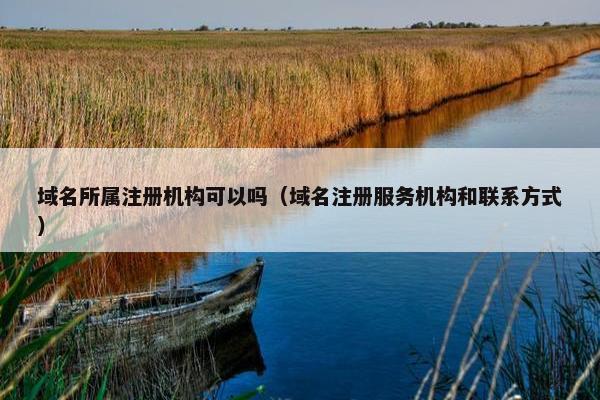 域名所属注册机构可以吗（域名注册服务机构和联系方式）