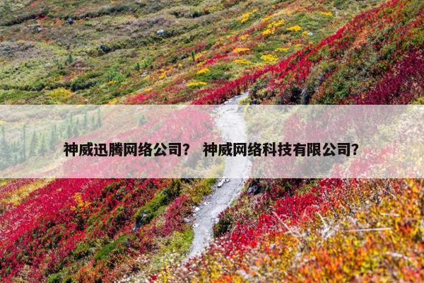 神威迅腾网络公司？ 神威网络科技有限公司？