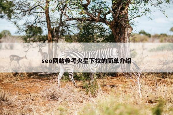 seo网站参考火星下拉的简单介绍