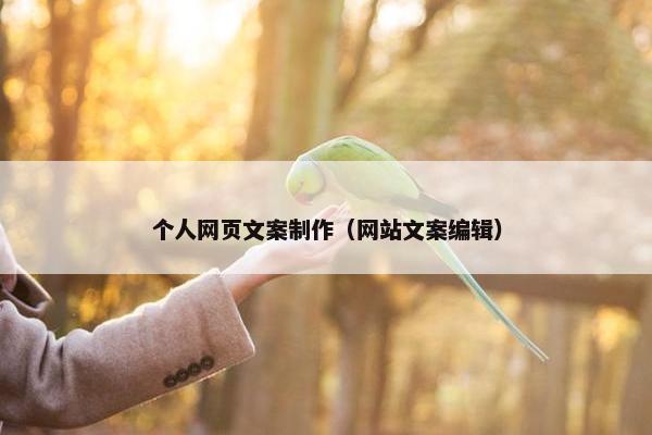 个人网页文案制作（网站文案编辑）