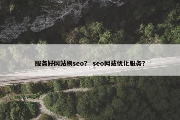 服务好网站刷seo？ seo网站优化服务？
