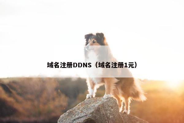 域名注册DDNS（域名注册1元）