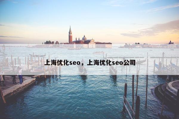 上海优化seo，上海优化seo公司