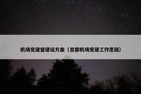 机场党建窗建设方案（首都机场党建工作思路）