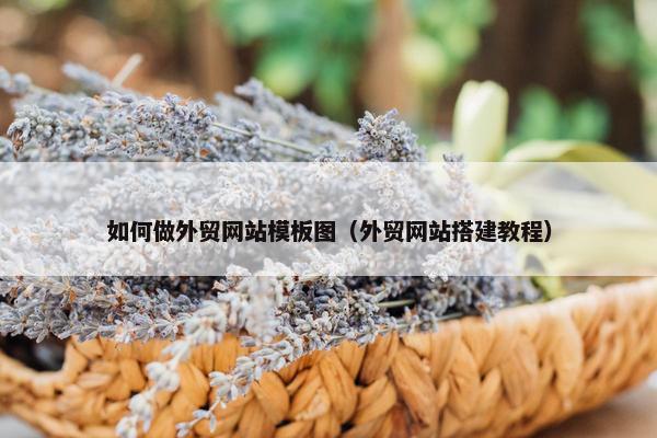 如何做外贸网站模板图（外贸网站搭建教程）