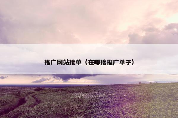 推广网站接单（在哪接推广单子）