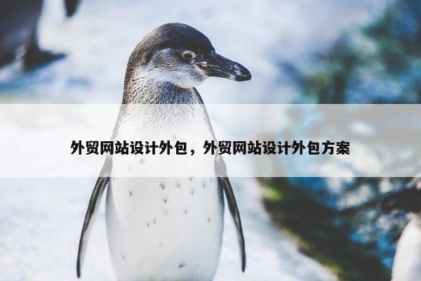 外贸网站设计外包，外贸网站设计外包方案