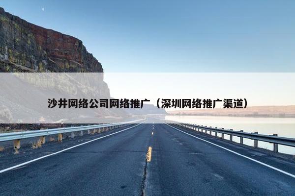 沙井网络公司网络推广（深圳网络推广渠道）