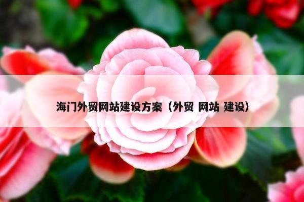 海门外贸网站建设方案（外贸 网站 建设）