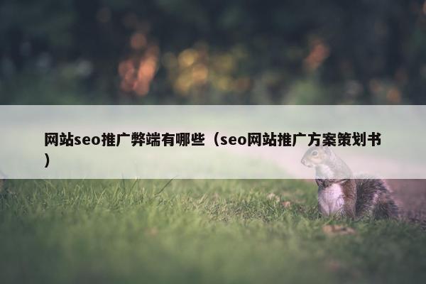 网站seo推广弊端有哪些（seo网站推广方案策划书）