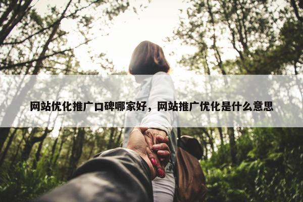 网站优化推广口碑哪家好，网站推广优化是什么意思