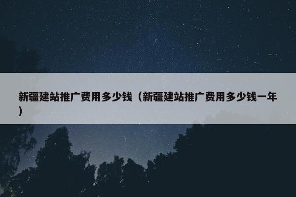 新疆建站推广费用多少钱（新疆建站推广费用多少钱一年）